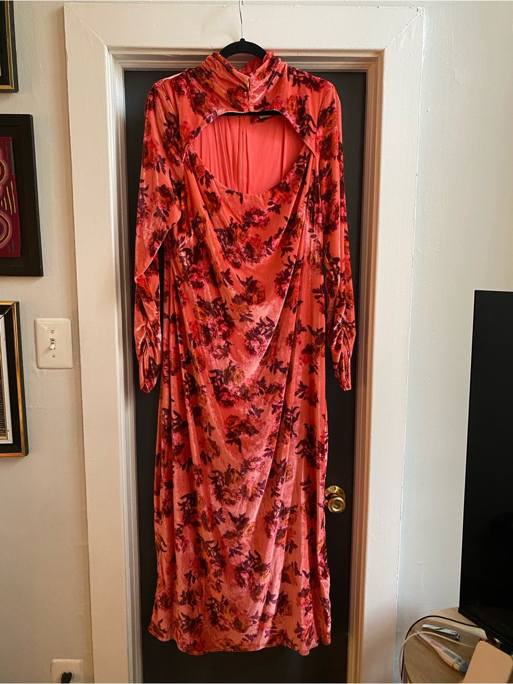 BHLDN Coral Pink Floral Velvet Long-Sleeve Dress with Open Back